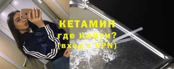 гидра Вязьма