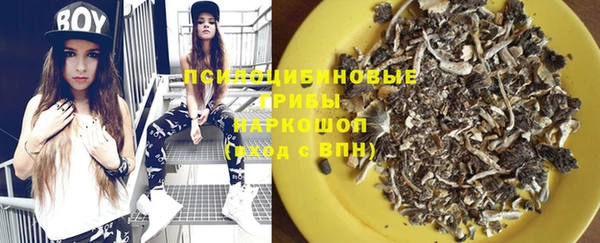 стафф Нязепетровск