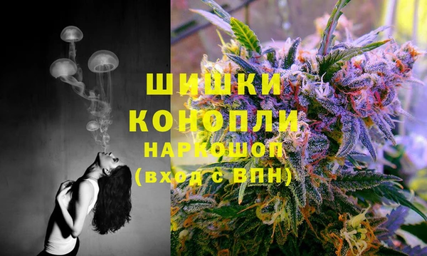 бошки Тайга