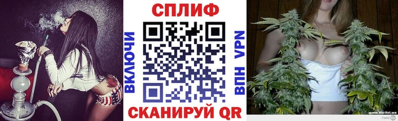 Бошки марихуана гибрид  blacksprut ссылка  Ак-Довурак 